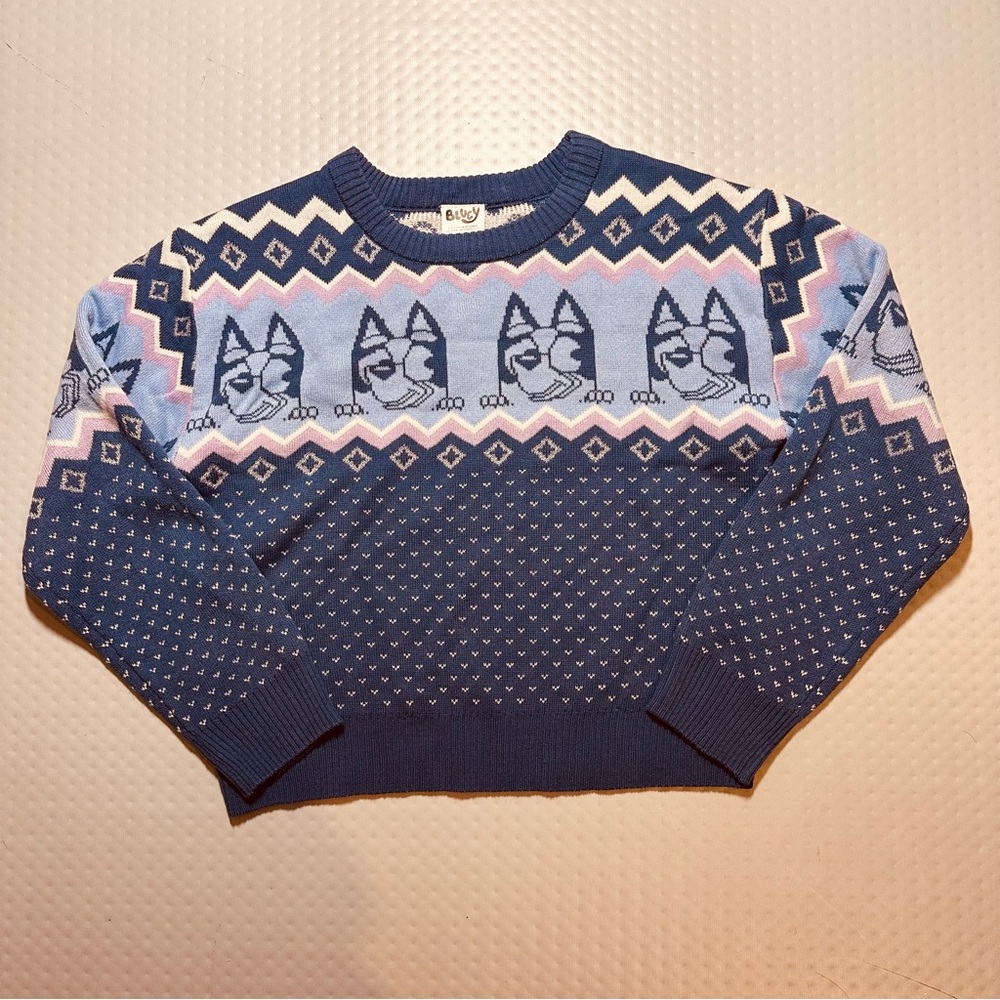 BLUEY sweater blue sweatshirt‎ child size L (10-12) dog cartoon bingo